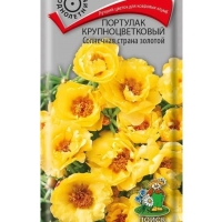 �������� ��������������� ��������� ������ �������