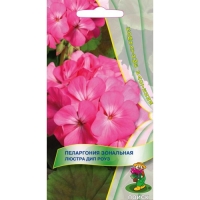 ���������� ��������� ������ ��� ����