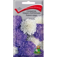 �������� ������� ������ �-������