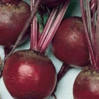 �����-��������-��������-���