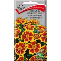 �������� ���������� ��������