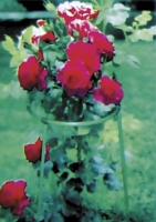 f1_0ad59f61-6037-4a8e-bd7e-df7e6fdeee7b