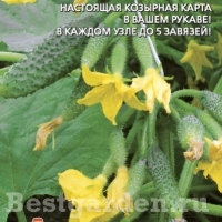 ������ �������� 632 F1 - ��������
