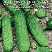 ���� �� ������