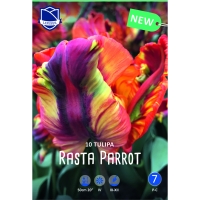 tyulpan-pasta-perrot2-w800-h800