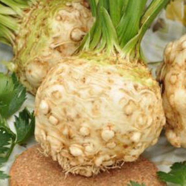 �������������������������������