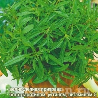 �������������������������������