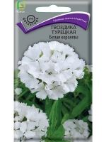 �������� ����� ��������