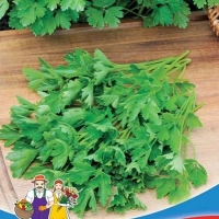 �������������������������������