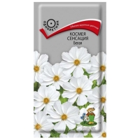 ������ �������� �����