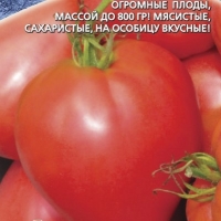 �������������������������������