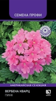 verbena_kvarc_pink
