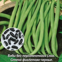 ������ ׸���� ���� �������