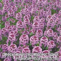 �������������������������������