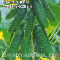 �������������������������������