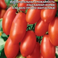 �������������������������������