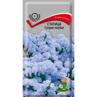 ������� ������ �������