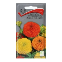 �������� ��