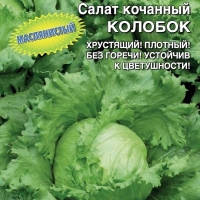 �������������������������������