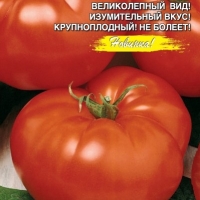 �������������������������������