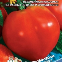 ����� ����� ������ ������������