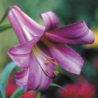 f1_4cf78966-9945-41d0-a062-0b72cbbf566f