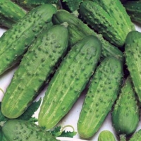 ������-�������