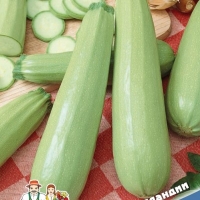 �������������������������������