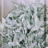 �������������������������������