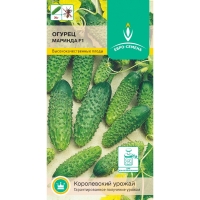 marinda-f1-150-800x800