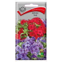 ����� ����