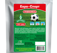 ���� �����