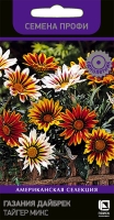 gazania_daibrek_taiger_mix