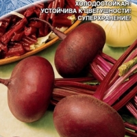 ������ ��������� �������