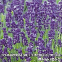 ������� �������� 0,1��