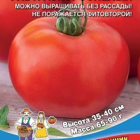 �������������������������������