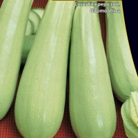 ������� ������� ������� ���������