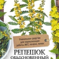 �������������������������������