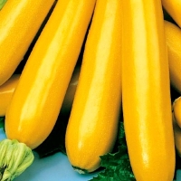 �������-���������-�����