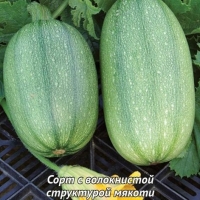 ������� �������� �������