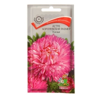 ����� ����������� ������ �������