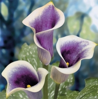 f1_7bc08ecf-12f0-4443-b377-21531828e6f1