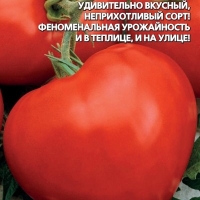 �������������������������������