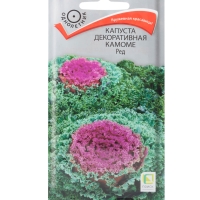 �������������������������������