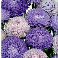 �������������������������������