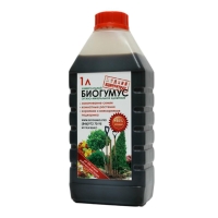 �������� ���������� 1�fe