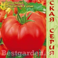 �������������������������������