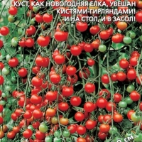 ����� ���� ����� F1