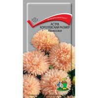 ����� ����������� ������ �����������