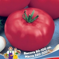 �������������������������������